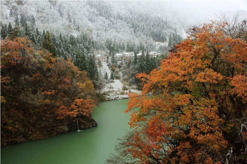 季節の画像　冬31