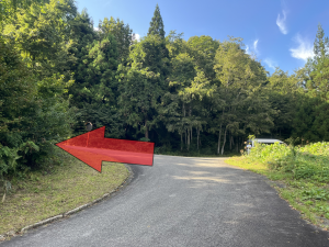 美坂高原