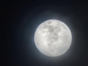 星空観望会