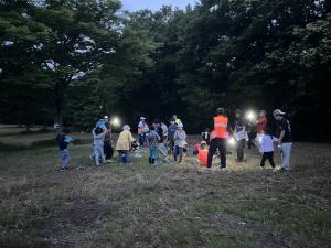 ナイトハイク
