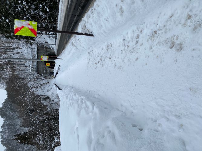ビューポイントへ続く遊歩道の画像