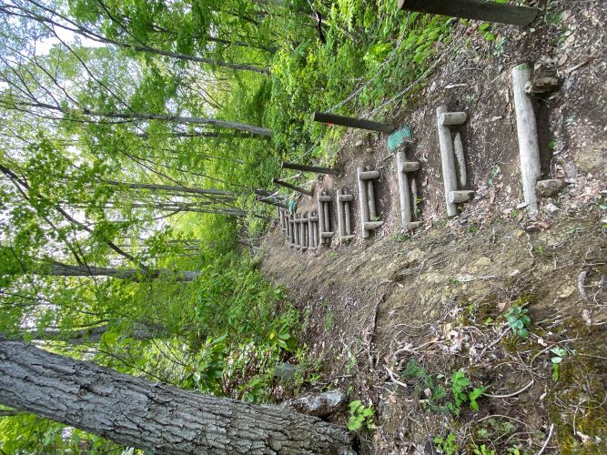 ビューポイントC地点へ向かう階段の画像