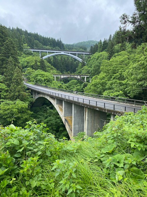 アーチ三兄弟初夏の画像