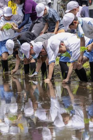 田植え１
