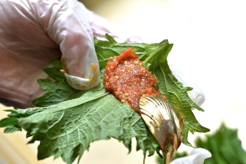 味噌のかくれんぼの画像