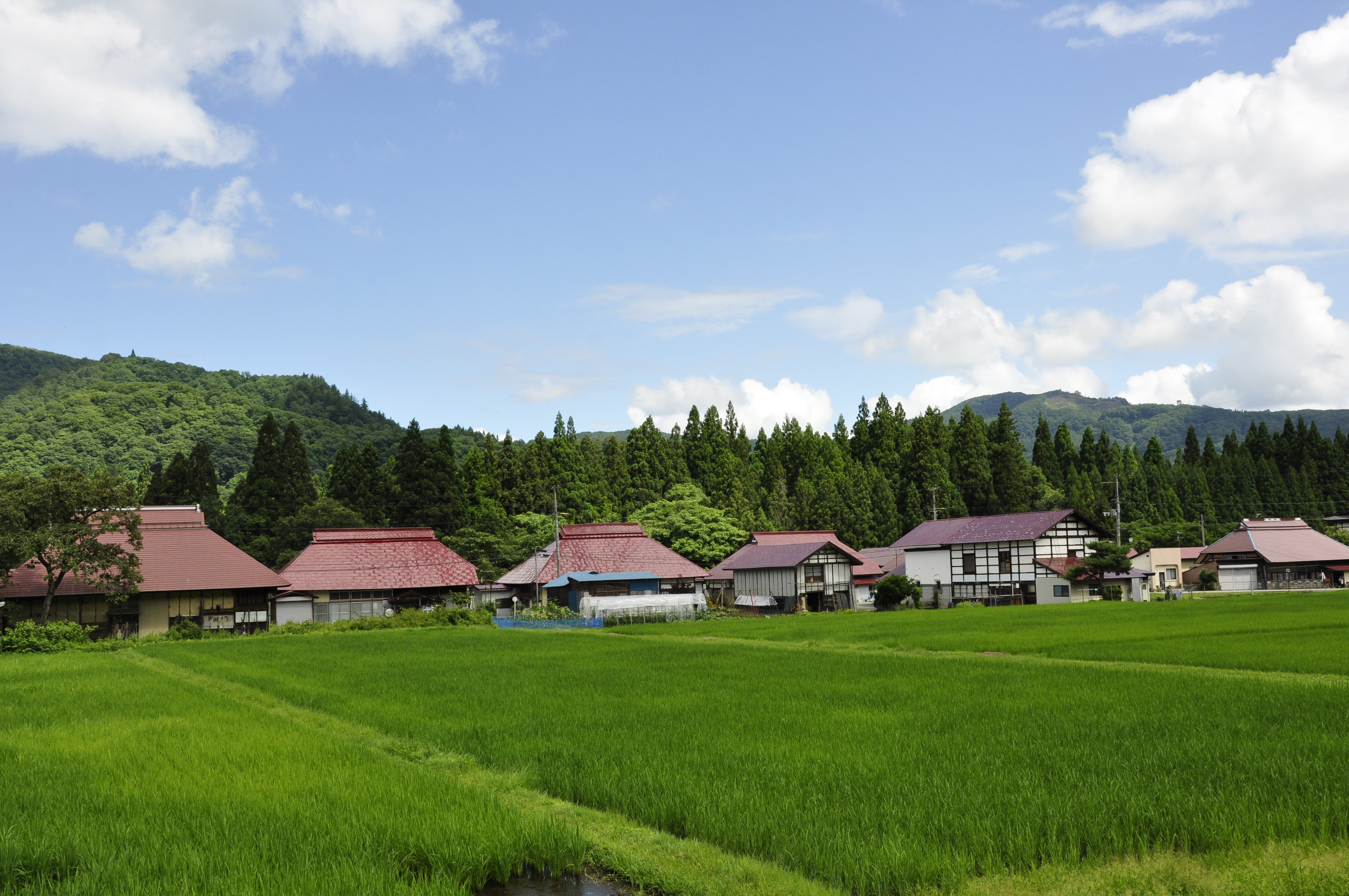 移住・定住情報のタイトル画像